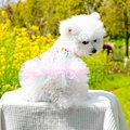 Dog Birthday Clothes