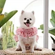 Dog Dress Harness Vest