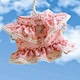 Dog Dress Harness Vest