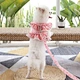 Dog Dress Harness Vest
