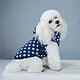 Dog Warm Winter Waterproof Coat