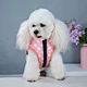 Dog Warm Winter Waterproof Coat