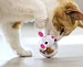 Cat Mice Food Rolling Leakage Dispenser Toy