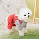 Puppy Couple Clothes