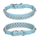 Supet Dog Prong Collar
