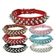 Supet Dog Prong Collar