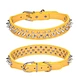 Supet Dog Prong Collar