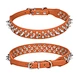 Supet Dog Prong Collar