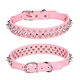 Supet Dog Prong Collar