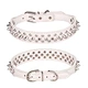 Supet Dog Prong Collar