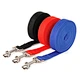 dog leash training