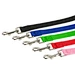 dog leash training