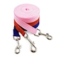 dog leash training