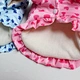 Pet Coat Princess Dress