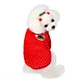 Pet Coral Velvet Hoodie