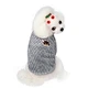 Pet Coral Velvet Hoodie