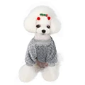 Pet Coral Velvet Hoodie