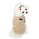 Pet Coral Velvet Hoodie
