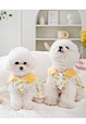 Puppy Soft Breathable Dress