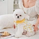 Puppy Soft Breathable Dress
