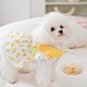 Puppy Soft Breathable Dress