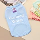 Dog Clothing Fashion Luxury