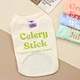 Dog Clothing Fashion Luxury