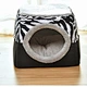 Cats House Sleeping