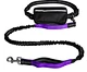 dog on a leash