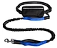 dog on a leash