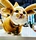 Pet New Year Clothes