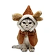 Pet New Year Clothes