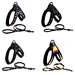 dog Colorful Pattern Training Walking Vest Harness