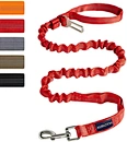 runners leash for dog