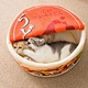 Noodles Cat Nest Bed