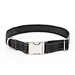 Metal buckle nylon dog collar