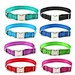 Metal buckle nylon dog collar