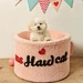 Tea Cup Cat Nest Bed