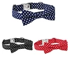 Polka-dot Bow Collar