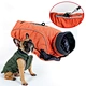 Dog Jacket