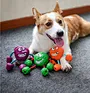 Dog Teeth Cleaning Toy