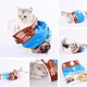 Cat Tunnel Bag