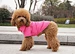 Dog Plain Breathable Sweatshirt