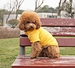 Dog Plain Breathable Sweatshirt