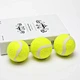 Dog Tennis Ball Toy