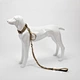 retractable dog leashes