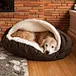 Medium dog cave bed