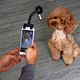 Professional Pet Photography Kit