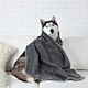 Microfiber Pet Towe