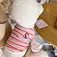 Dog Spring Clothes